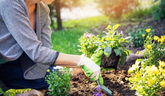Gardening in the mountains