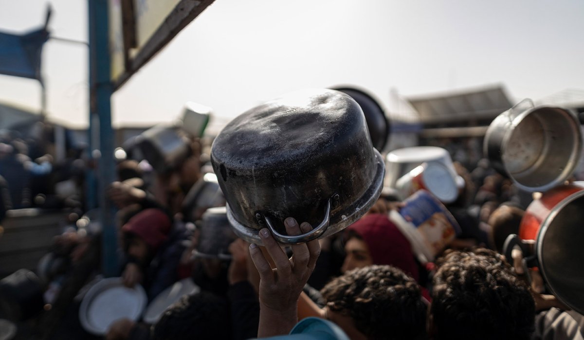 Gaza famine