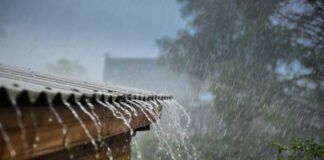 Orange Alert for Heavy Rain Issued by IMD; State Remains on High Alert Rains