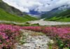 Valley Of Flowers Closed To Tourists For The Season Valley of flowers Uttarakhand