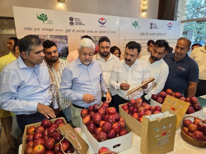 Garhwali Apples from Pauri