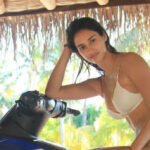 Bollywood actress Disha Patani