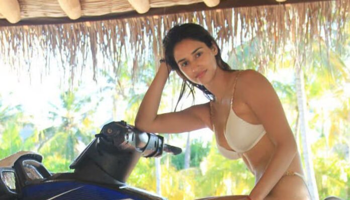 Bollywood actress Disha Patani Bollywood actress Disha Patani