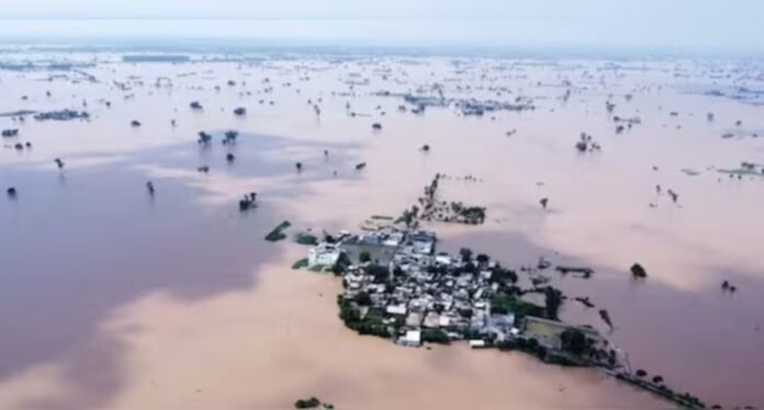 Punjab floods Punjab floods