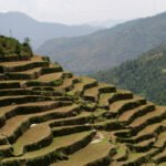 Terrace farming