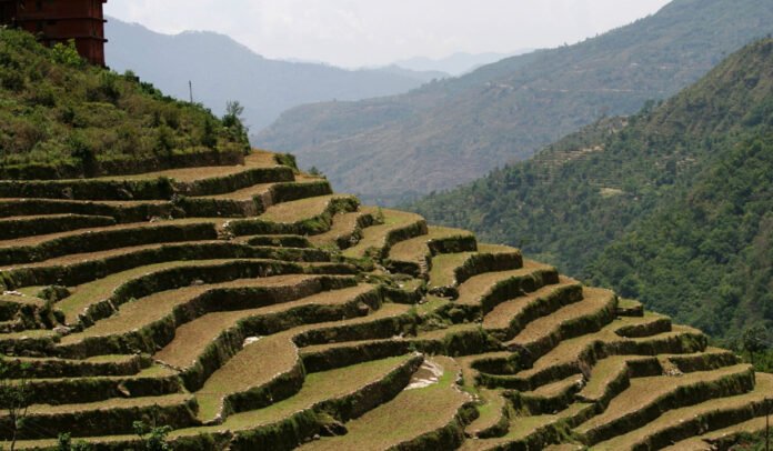 Terrace farming