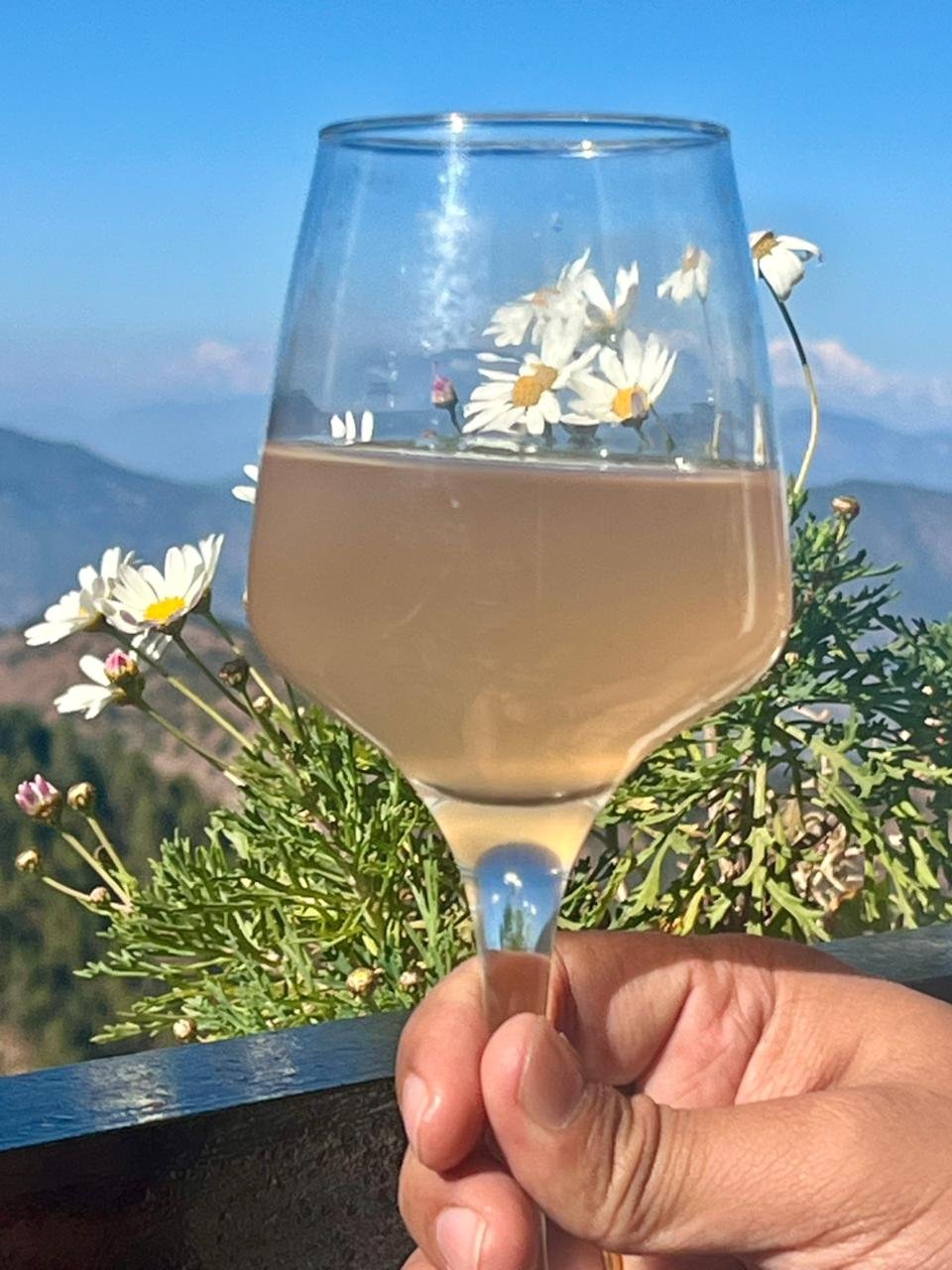 Fruit wine in the mountains