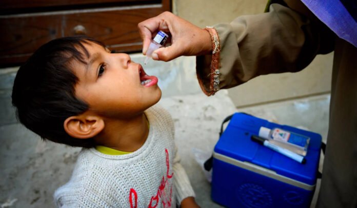 Polio drops Polio drops