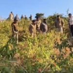 One Arrested After 161 Gelatin Rods Found Near School in Almora Almora explosive recovery