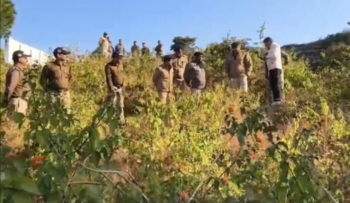 Almora explosive recovery