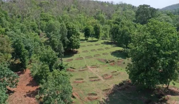 Forest land grabbing in Uttarakhand